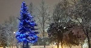 Christmas Tree