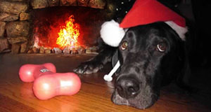 Yule Log